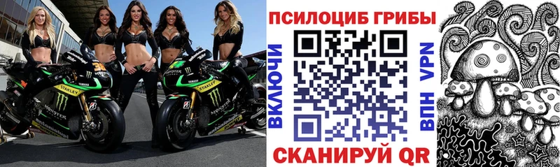 Галлюциногенные грибы мухоморы Александровск-Сахалинский